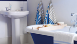 Plumbing & Bathroom (313)